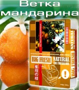 BIG FRESH Ветка мандарина (200 гр)
